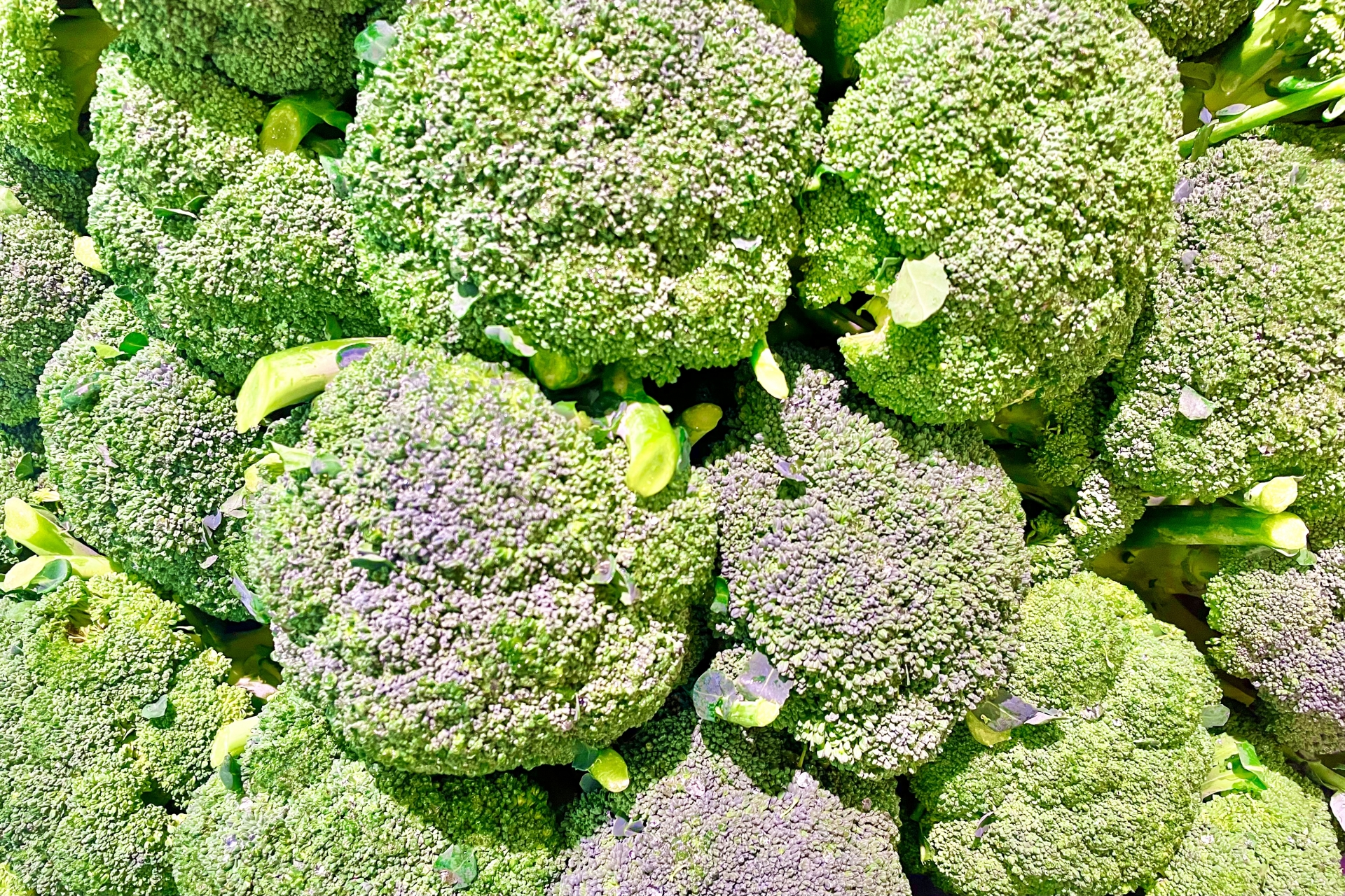 ブロッコリーって結局いいの？悪いの？