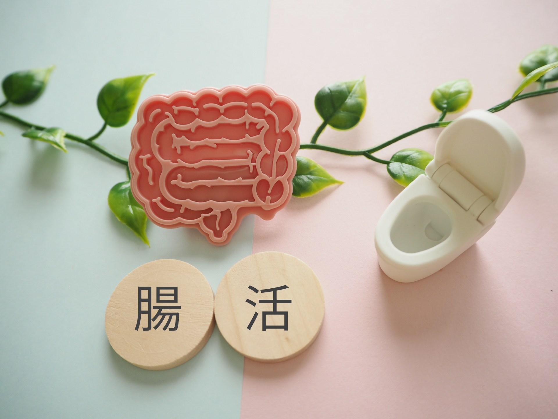 「腸活」って何をすればいい？今日から始められる腸内環境の整え方